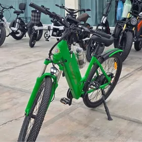 Tokly tigir Turkmenistan