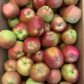 Продажа Готовый бизнес