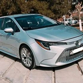 Toyota Corolla 2020
