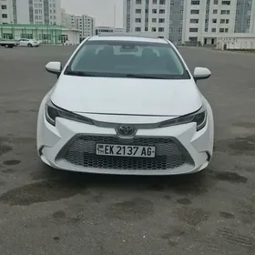 Toyota Corolla 2020