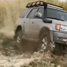 Diska Pakriška 16 lik