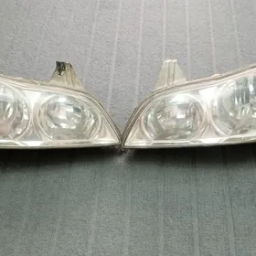 Максима maxima fara