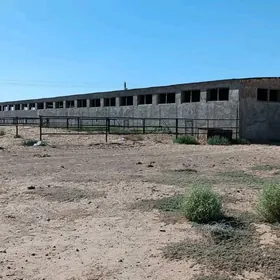 Satlyk Akbugday Onumcylyk yer