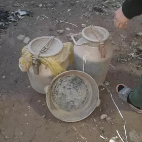 Plak gadymky ýagdaýy gowy