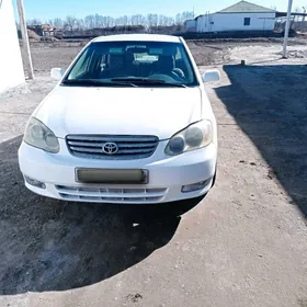 Toyota Corolla 2004