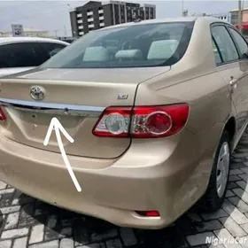 Karolla nikel bagaž 2012