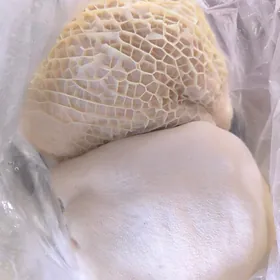 okuziň ayagy garny garn gowrdk