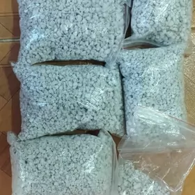 большой выбор домашних цветов