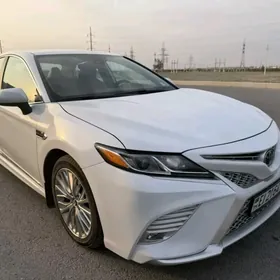 Toyota Camry 2020