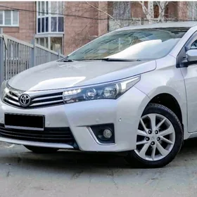 karolla spoller we abilsofka