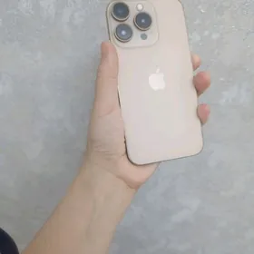 16 pro X dan owrulen