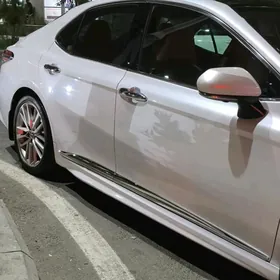 Camry 18 24ý gapy nikel moldin