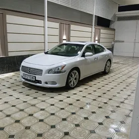 Nissan Maxima 2010