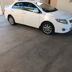 Toyota Corolla 2010