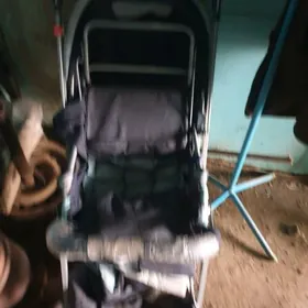 çaga uçin kalyaska tazeje