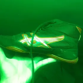 barsofka goreş,boks