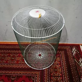 kletka,клетка,ketek,кетек