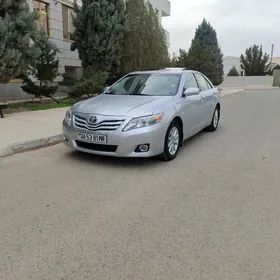Toyota Camry 2010