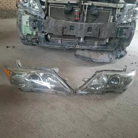 Fara öküz kelle 2010