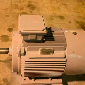 ELEKTRODWIGTEL Двигтель