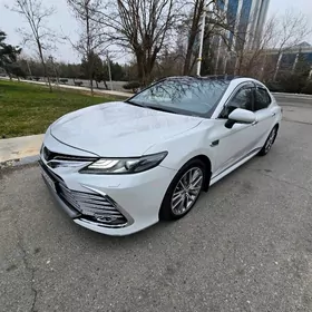 Toyota Camry 2020