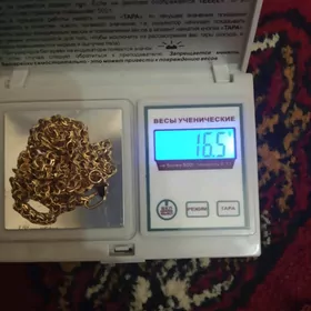 кардинал kardinal