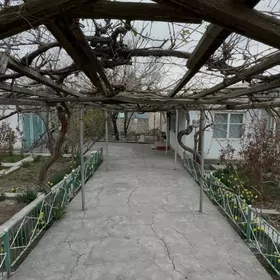 Anew 5-sotak Gurbansoltan