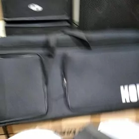 cehol korg we pauk stoyka