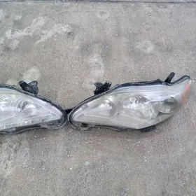 fara (toyota corolla)