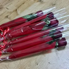 роза цветы bägül roza güller