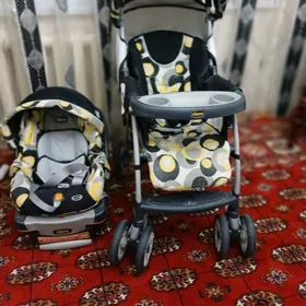 caga koalascaga kolyaska