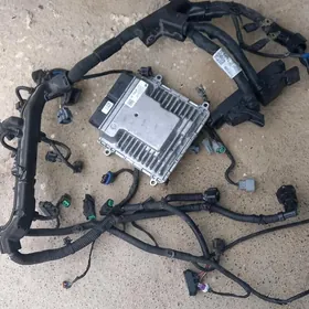 wariýator koropga,kompý sistem