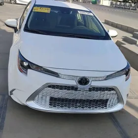 Toyota Corolla 2022