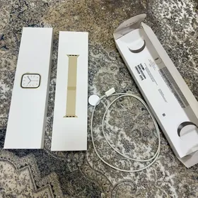 Apple watch 7 stainless steel