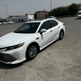 Toyota Camry 2020