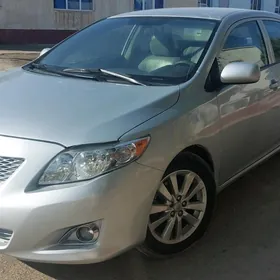 Toyota Corolla 2010
