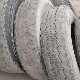 pokryşga kamyrly 12