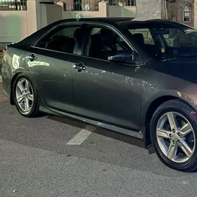 Camry palta byrazgawik