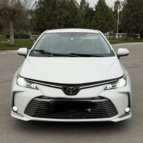 Toyota Corolla 2021