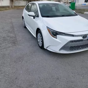 Toyota Corolla 2020
