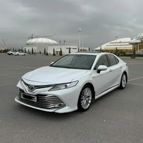 Toyota Camry 2019