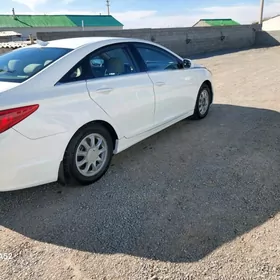 Hyundai Sonata 2010