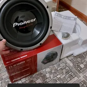 Pioneer bocka
