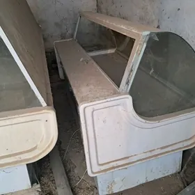 WİTİRİNA HALADİLNİK