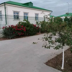 Taze Zaman ️ тазе заман