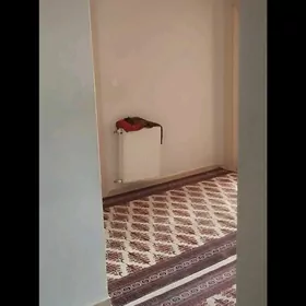 mir8 satlyk jaý 1nji etaž