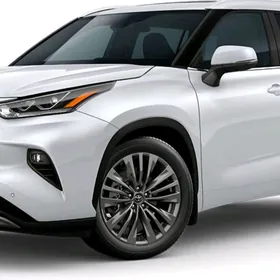 Highlander Nikel Bezegler