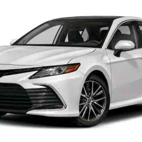 Camry Nikel Bezegler