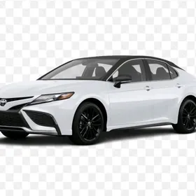 Camry Nikel Bezegler