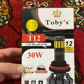 led toby’s H7